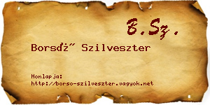 Borsó Szilveszter névjegykártya