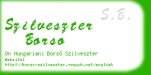 szilveszter borso business card