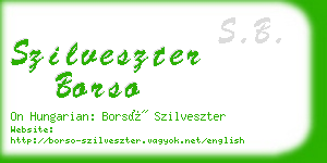 szilveszter borso business card